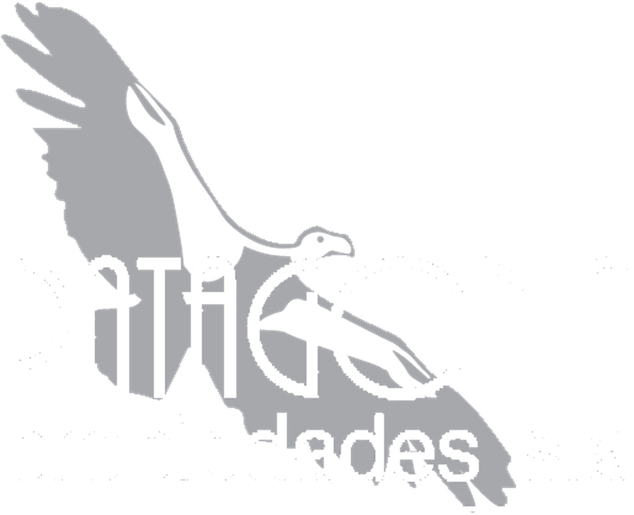 Patagonia Propiedades